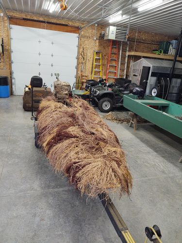 Customer photo review of Hunting Blind Raffia Grass (Pack)
