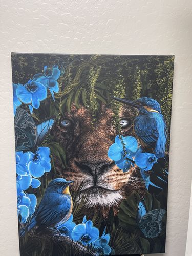 Customer photo review of Peekaboo Canvas Art