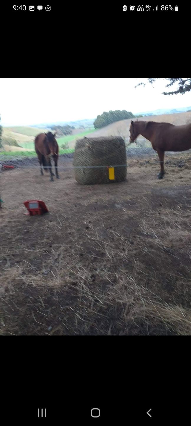 Customer photo review of Silage Bale Hay Net