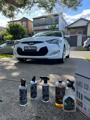 Customer photo review of CAR WASH STARTER KIT