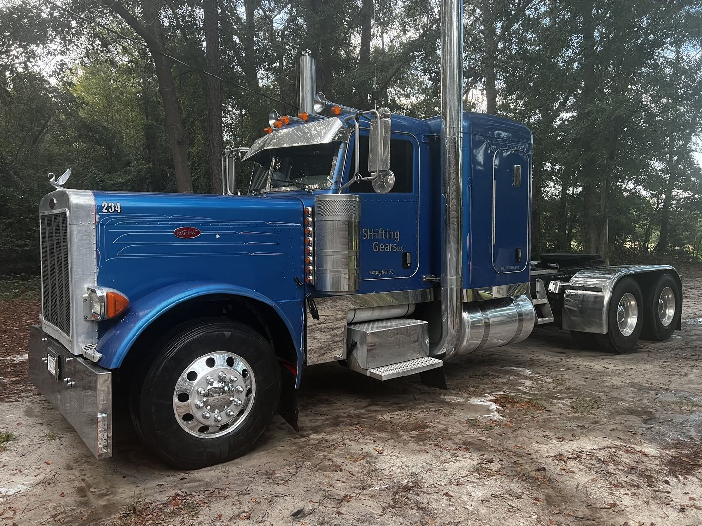 Customer photo review of High Gloss Protectant