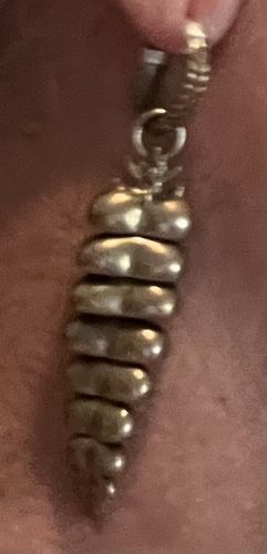 Customer photo review of Silver Rattlesnake Tail Earrings