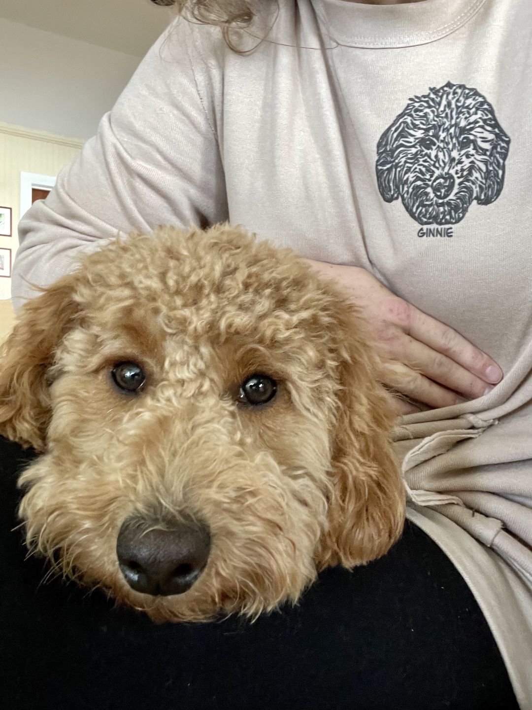 Customer photo review of LIMITED EDITION Custom Pet Raw Seam Crewneck, Unisex