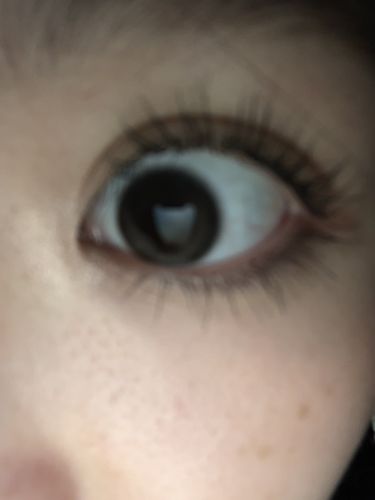 Customer photo review of One&Only Kristin 1Day - brown