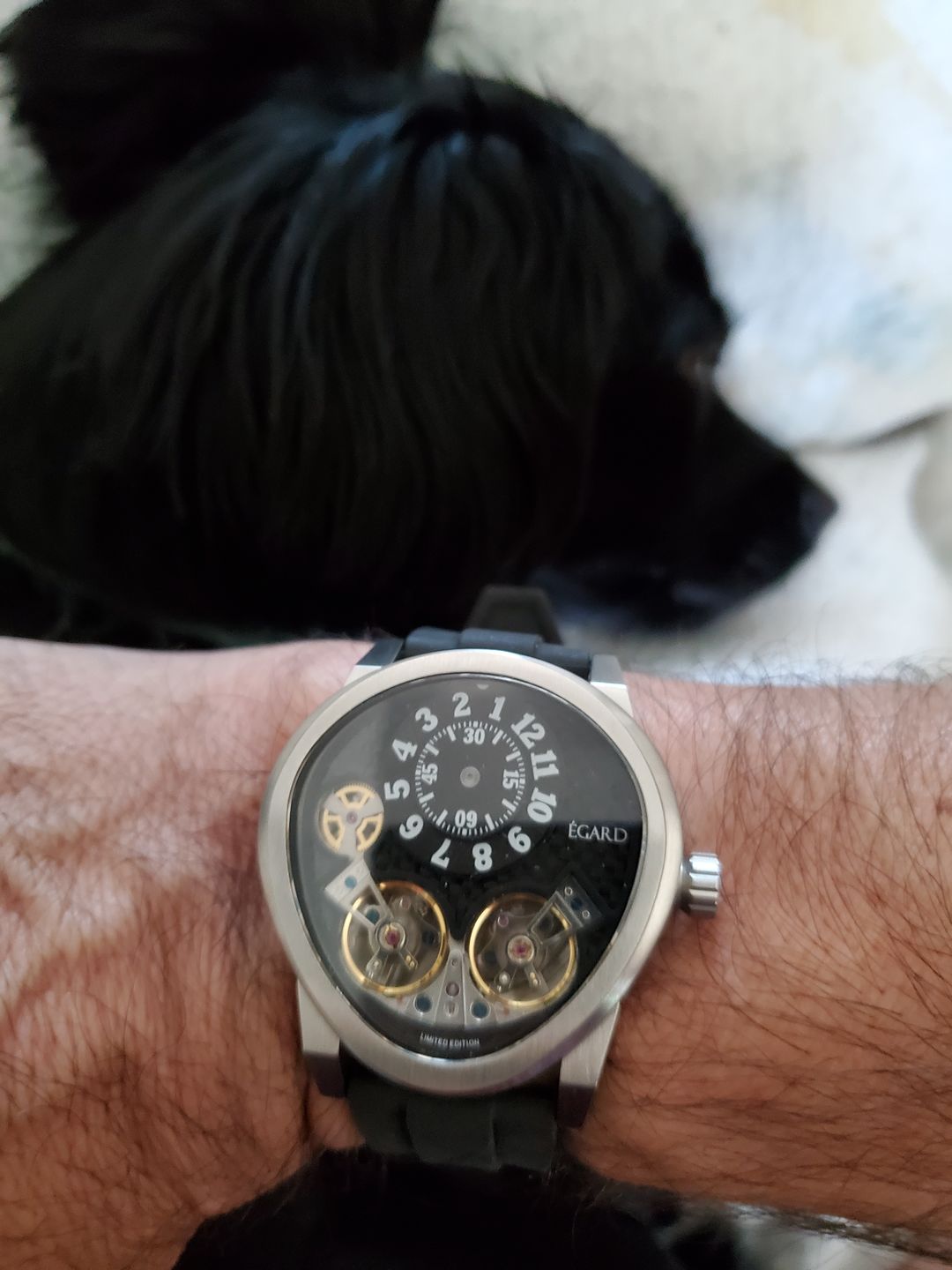 Customer photo review of Quantus V3