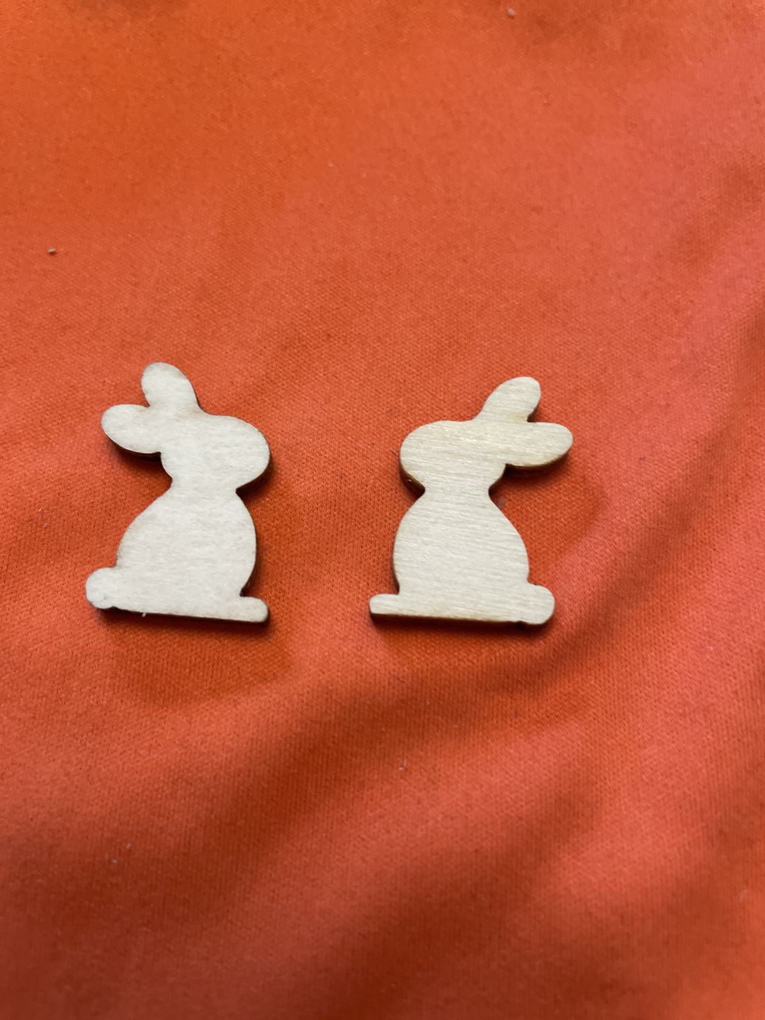Customer photo review of Unfinished Wood Easter Bunny Shape - Craft - up to 36" DIY