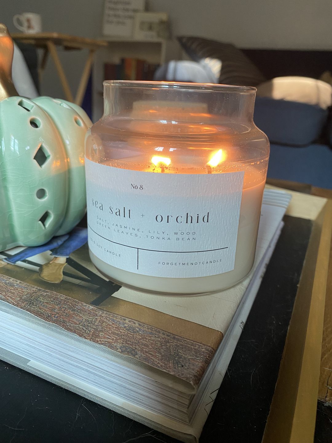 Customer photo review of Sea Salt + Orchid 22 oz Glass Candle