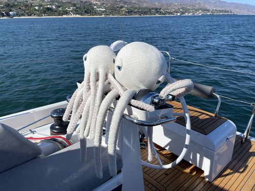 Customer photo review of The Octopus