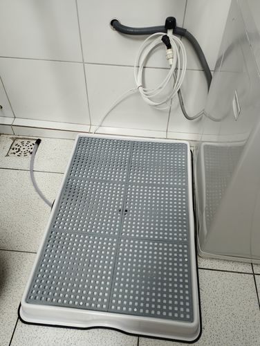 Customer photo review of Weasy Cão