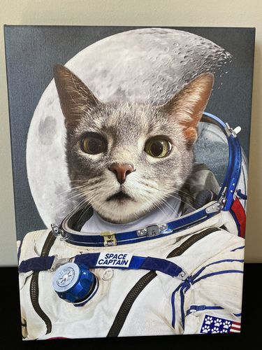 Customer photo review of The Astronaut – Custom Pet Canvas