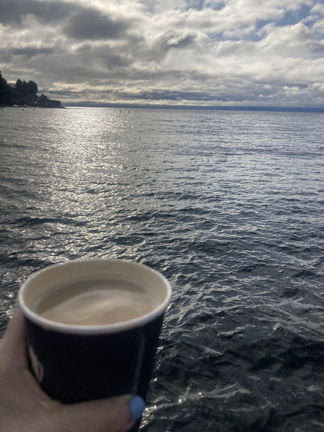 Customer photo review of Cápsulas para Nespresso | Colombia Laderas del Tapias