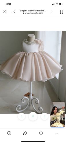 Customer photo review of Elegant Flower Girl Princess Dress