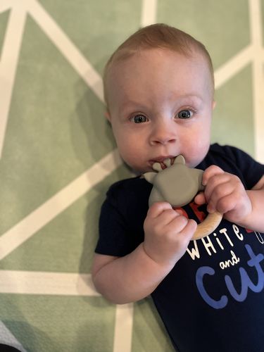 Customer photo review of Giraffe Teether || Elio