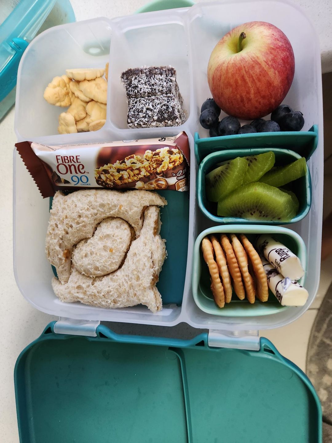 Customer photo review of b.box Bento Lunchbox  – Emerald Forest