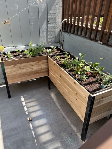 Customer photo review of 18" x 48" Raised Garden Bed