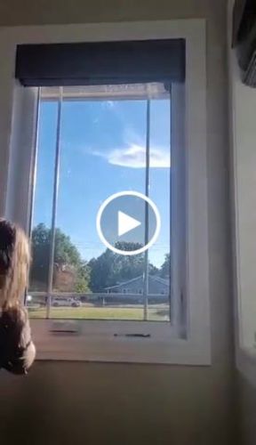 Customer video review of SmartWings Motorized Woven Wood Shades 100% Blackout