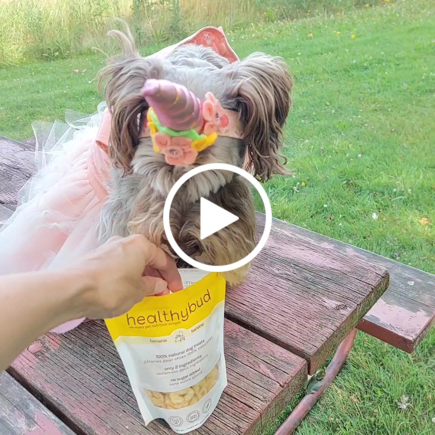 Customer video review of Banana Chips