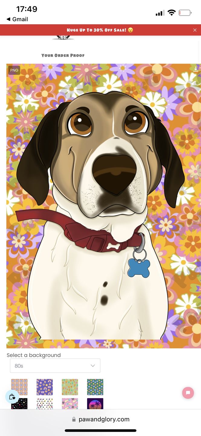 Customer photo review of Custom Cartoon: Framed Pet Portrait