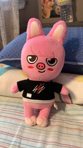 Customer photo review of Official Stray Kids SKZOO Plush (Original Ver)