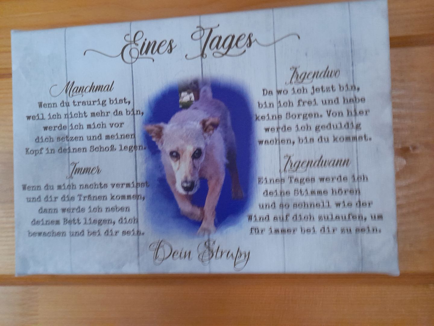 Customer photo review of Eines Tages - Individuelle Leinwand