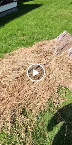 Customer video review of Hunting Blind Raffia Grass (Pack)