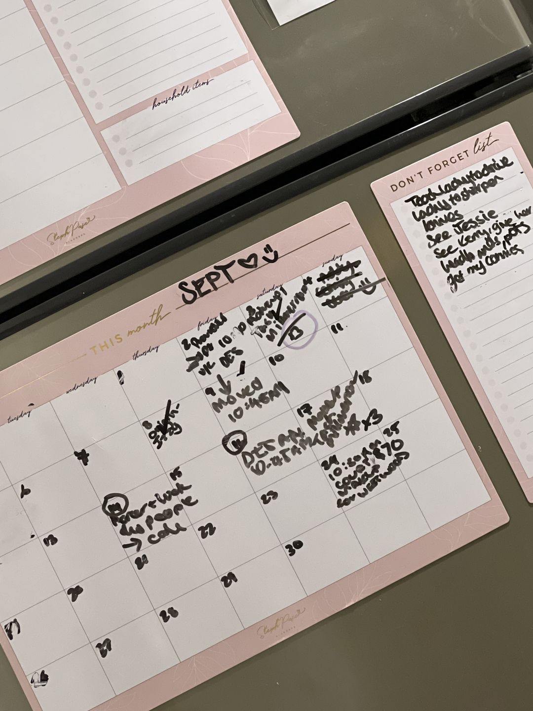 Customer photo review of NEW Blush Magnet Planner Set