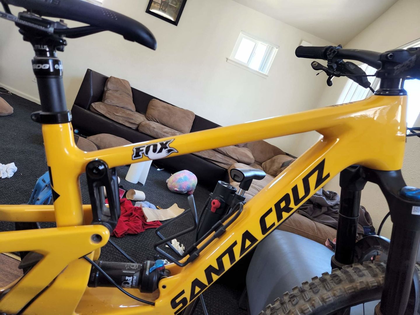 Customer photo review of Clear Frame Keeper