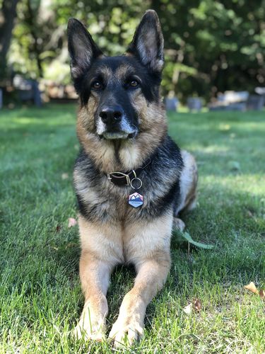 Customer photo review of Explorer Silicone