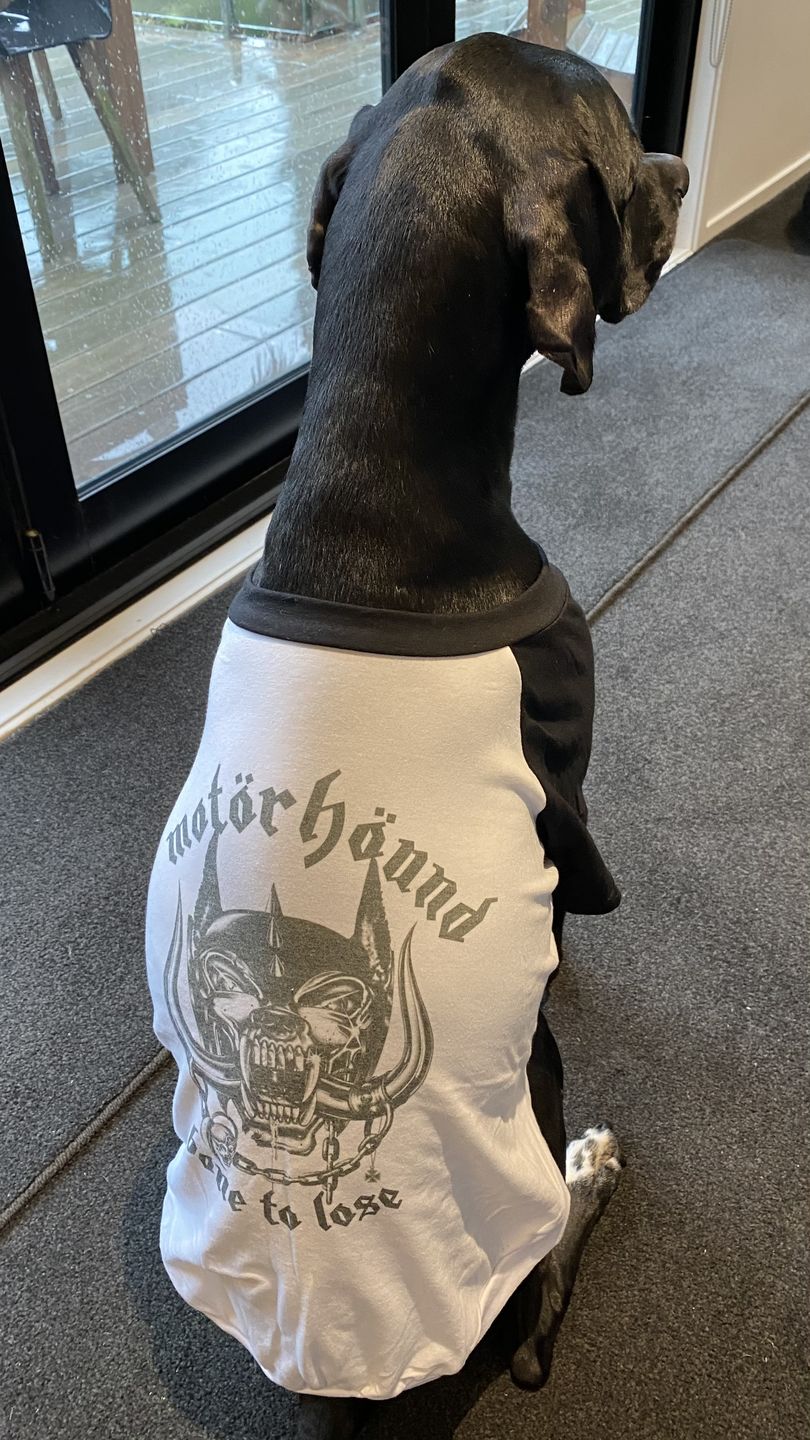 Customer photo review of Motorhound Raglan Dog Tee