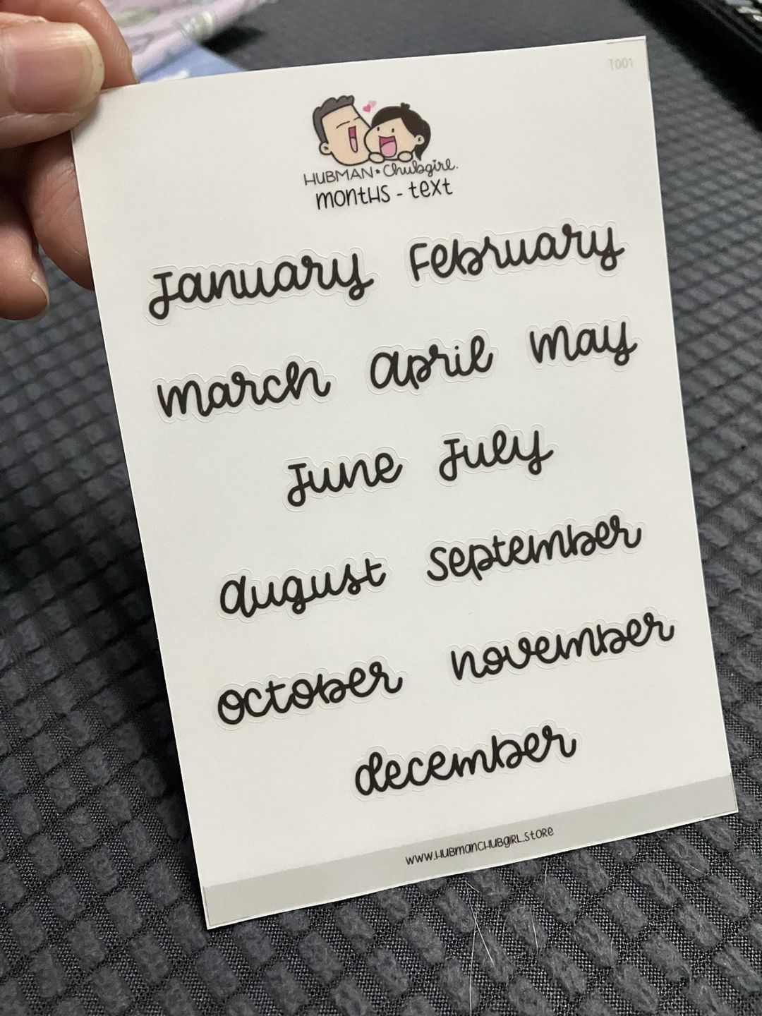 Customer photo review of Months Text Planner Stickers