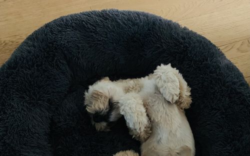 Customer photo review of CalmBed - Motverkar stress & hjälper mot ångest