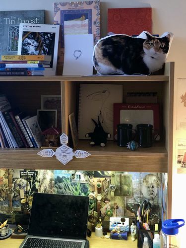 Customer photo review of Create A Custom Cat Pillow