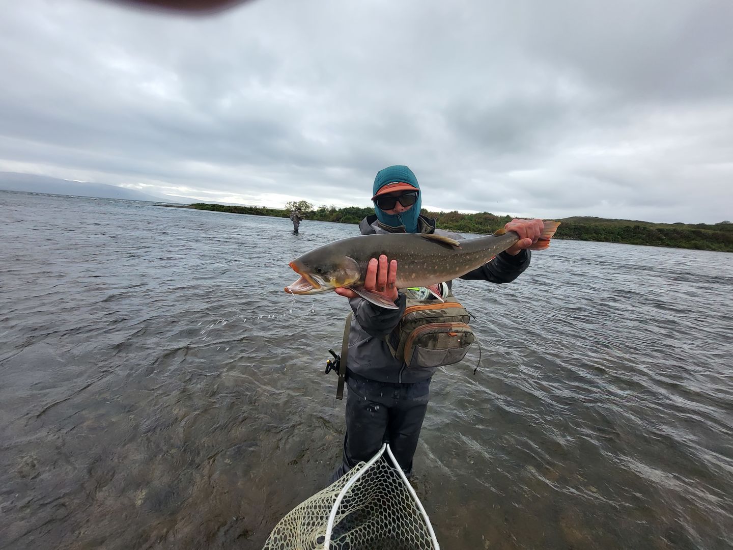 Customer photo review of Maxima Ultra Green Tippet