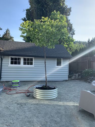 Customer photo review of 17” Tall Large Round