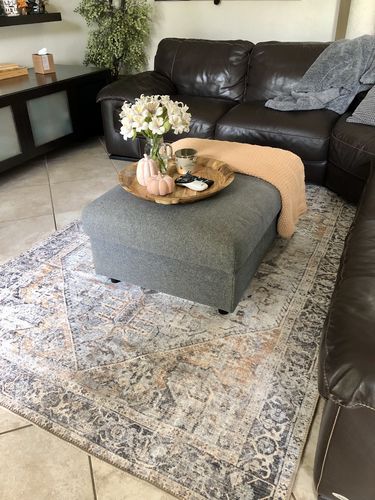 Customer photo review of Louis Machine Washable Rug