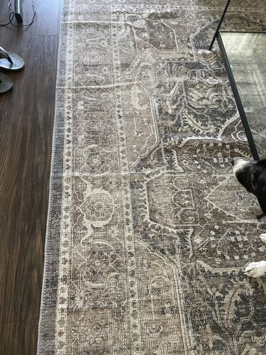 Customer photo review of Distressed Vintage Kendra Ash Area Rug