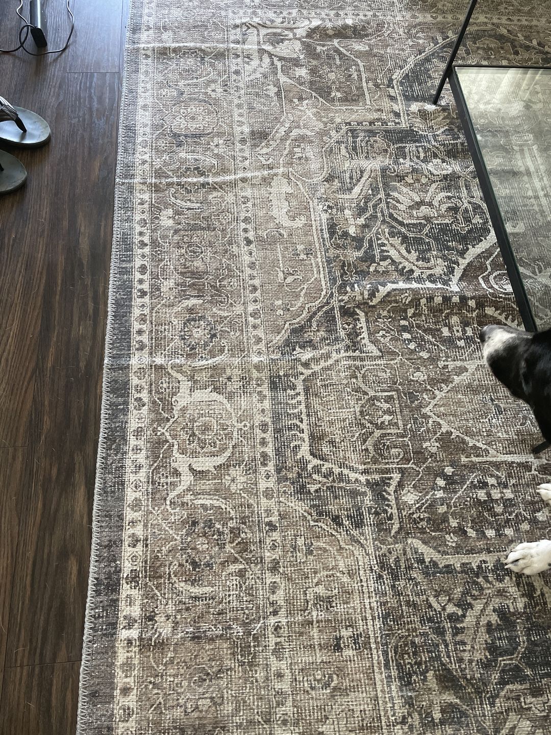 Customer photo review of Distressed Vintage Kendra Ash Area Rug