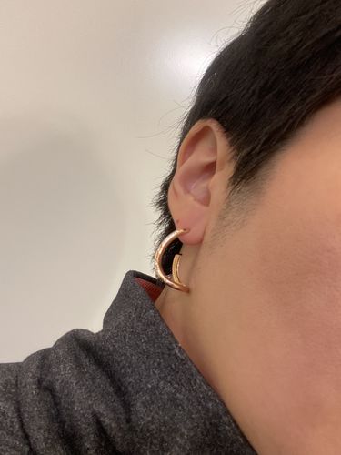 Customer photo review of Signature. D Silver Earring JDREPWF02ZC
