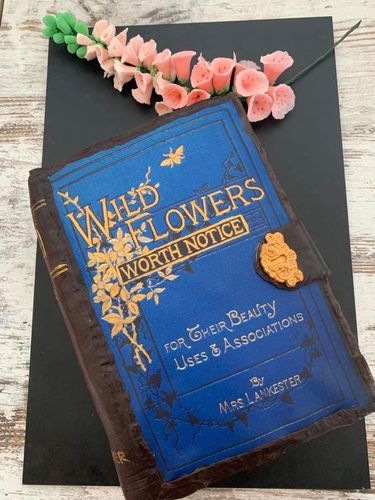 Customer photo review of A4 Rectangle Custom Edible Icing Image