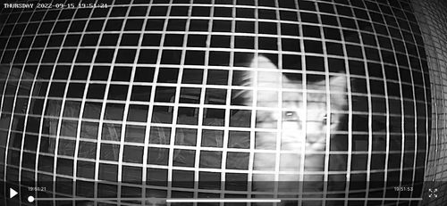 Customer photo review of OnGuard™