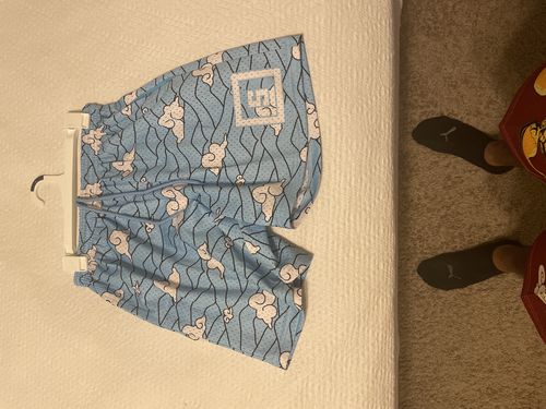 Customer photo review of Mesh Shorts - Final Selection