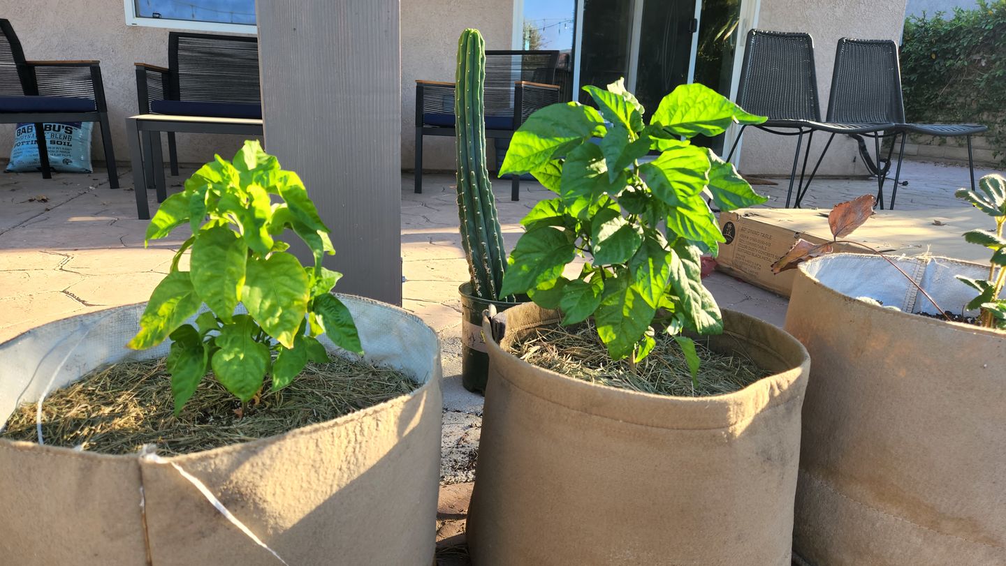 Customer photo review of BierKashi Bokashi 5 to 50 lbs