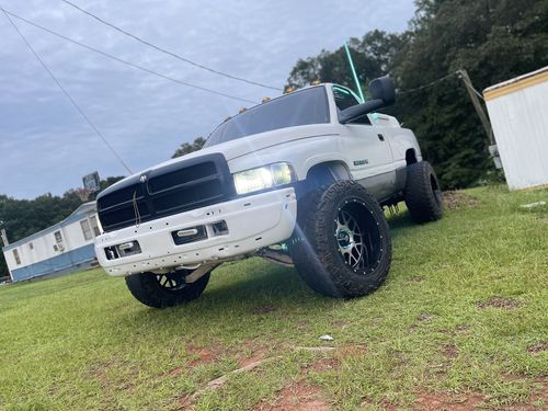 Customer photo review of Buy 1 Get 2 Free Special Offer + Free Shipping!