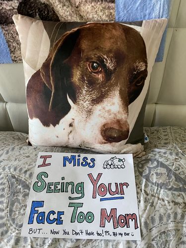 Customer photo review of Create A Custom Dog Pillow