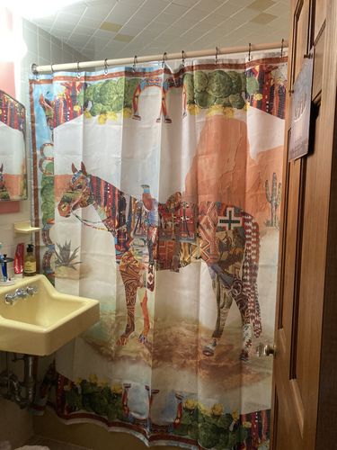 Customer photo review of Fringe Shower Curtain - Haute Horse