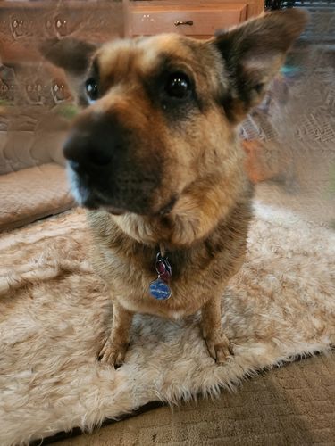 Customer photo review of Anime