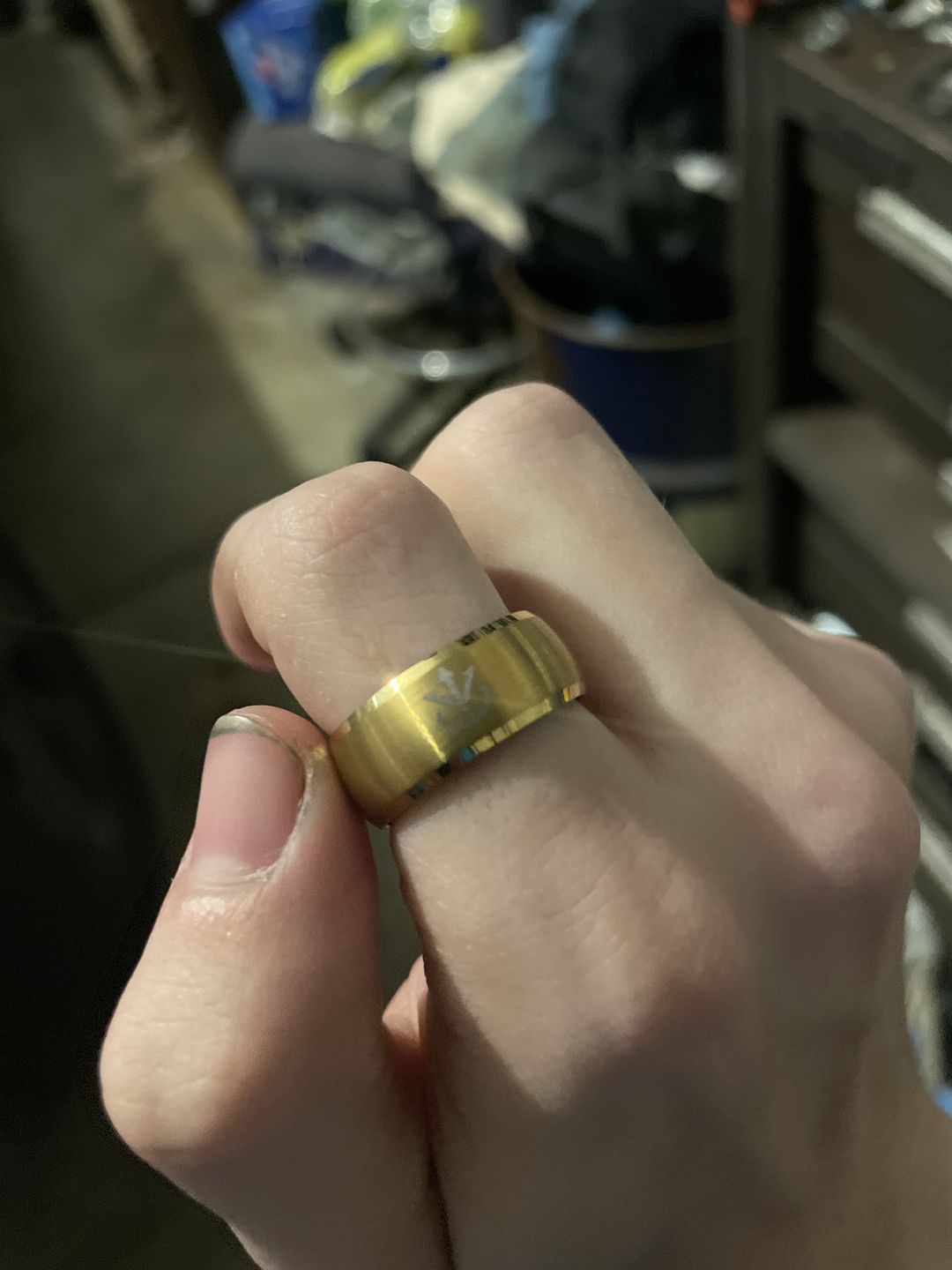 Customer photo review of [Tungsten] Super Saiyan Vegeta