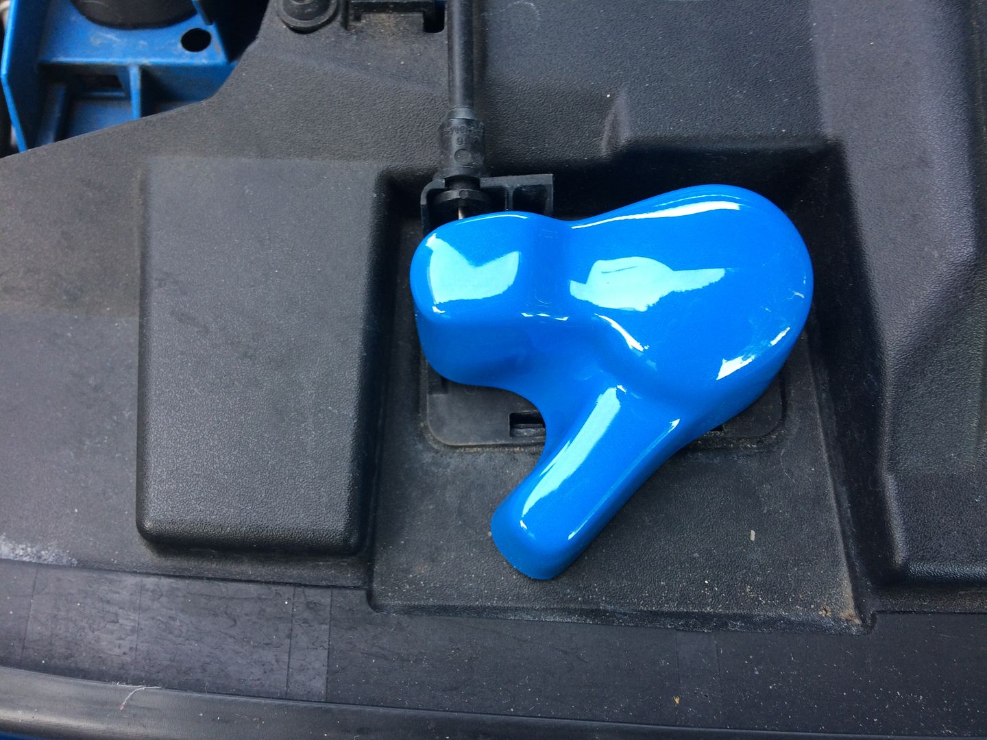 Customer photo review of Proform Bonnet Catch Cover (Painted/Hydrodipped) - MK3 / 3.5 Focus & Mk2 Puma