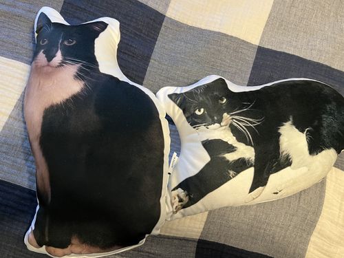 Customer photo review of Create A Custom Cat Pillow