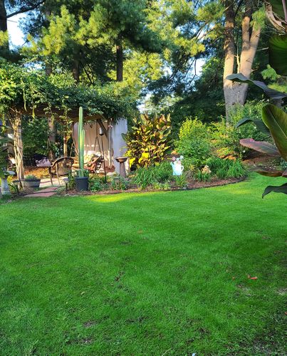 Customer photo review of GCI Turf Blue Heat Grass Seed